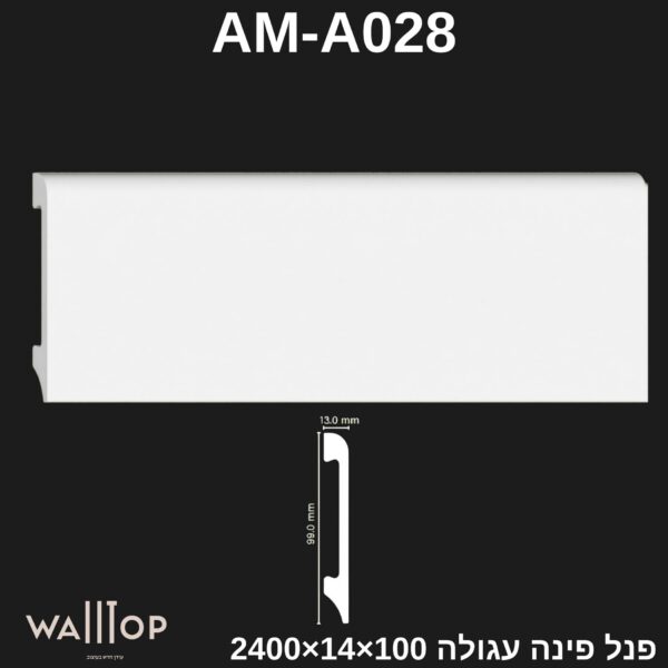 AM-A028