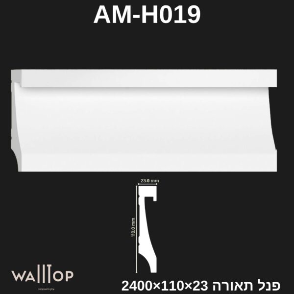 AM-H019